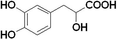 Preclinical Absorption, Distribution, Metabolism, and Excretion of Sodium Danshensu, One of the Main Water-Soluble Ingredients in Salvia miltiorrhiza, in Rats